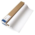 Εικόνα της EPSON Paper Premium Canvas Satin Rolls C13S041847