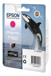 Εικόνα της EPSON Cartridge Magenta C13T76034010